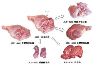 豬肉副產品的高值化利用 食品生產技術與產業發展路徑