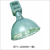 引領綠色照明新時代 高效節能燈具產品全方位展示